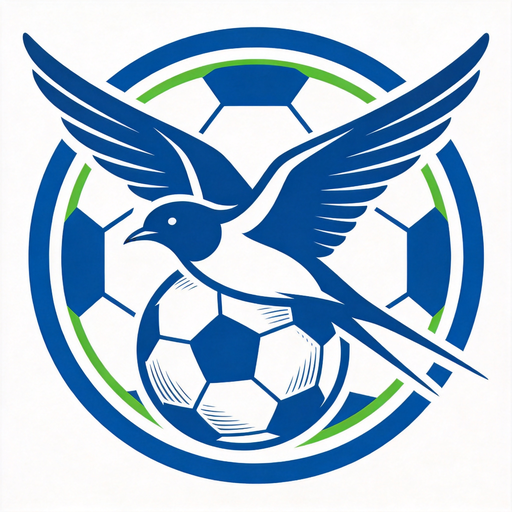 雨燕足球直播网 Logo